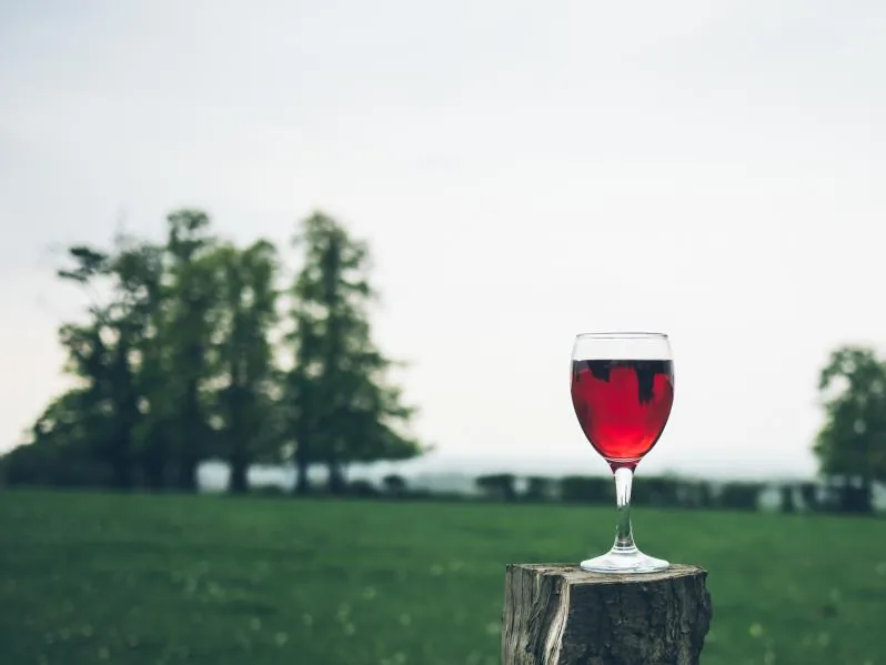Rotwein Dornfelder trocken